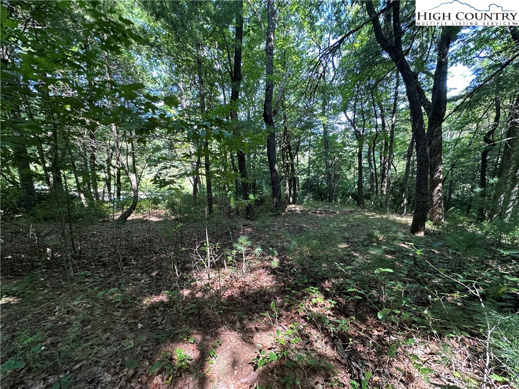 Lot 18 East Cielo Ridge Way Purlear, NC 28665 - Photo 10 of 30