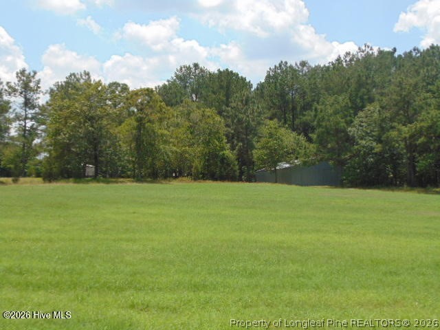 490 Springhill Church Road Hamlet, NC 28345 - Photo 21 of 49 Gallery Image 21