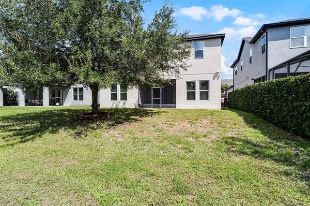 a view of backyard with tree