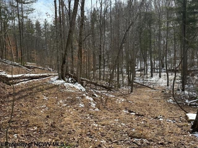 1 Spruce Run Poca, WV 25159 - Photo 27 of 38 Gallery Image 27
