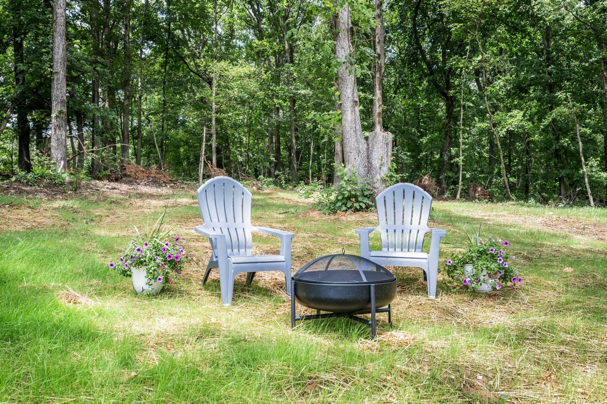 704 Pond Road Dickson, TN 37055 - Photo 28 of 30 Gallery Image 28