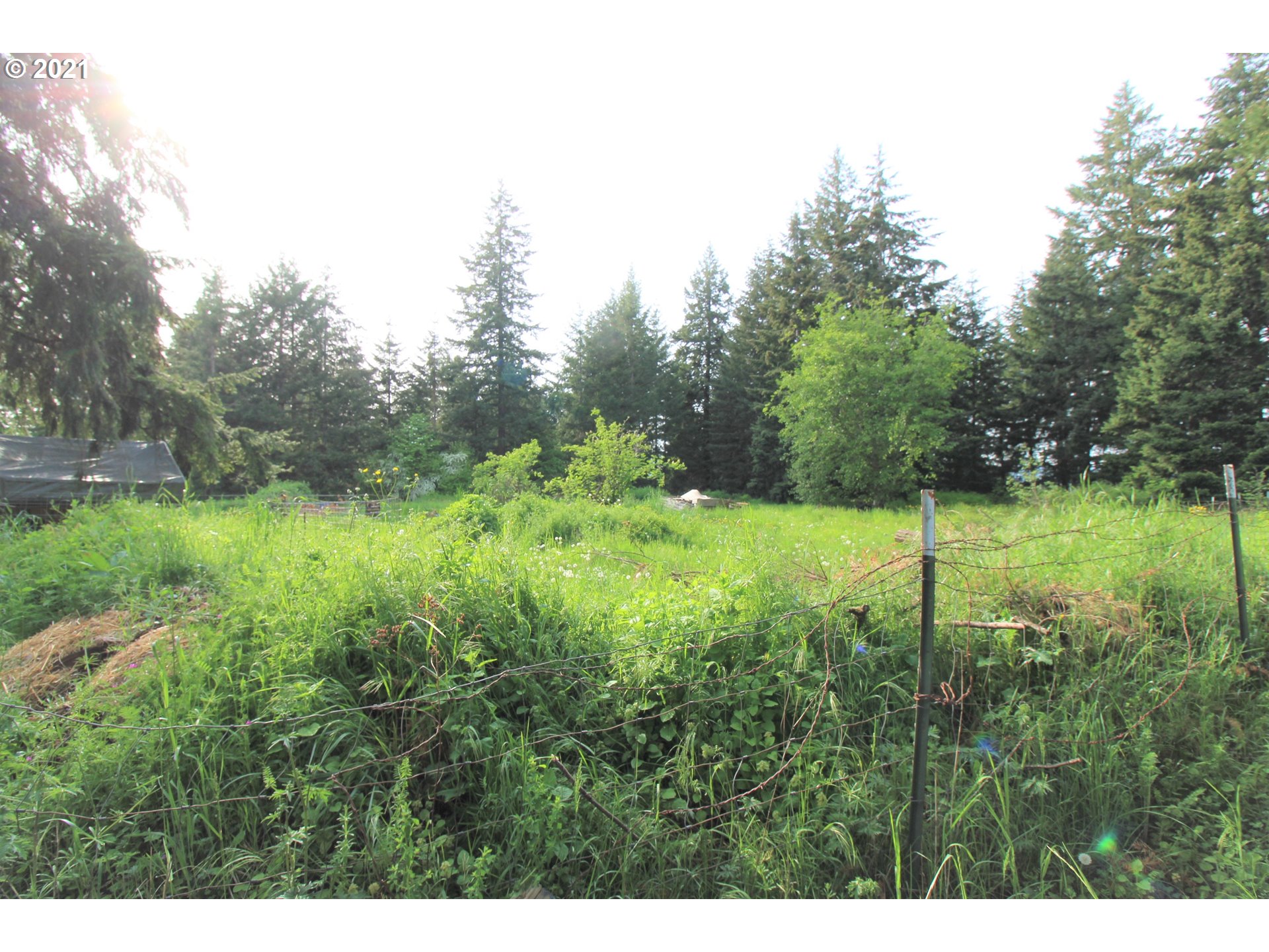 30364 Southeast Cemetery Road Estacada, OR 97023 - Photo 4 of 10 Gallery Image 4