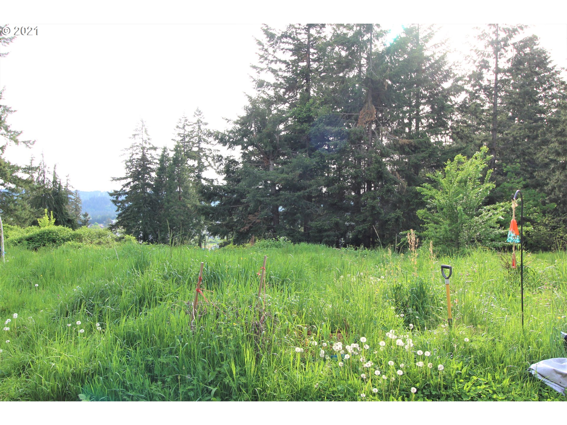 30364 Southeast Cemetery Road Estacada, OR 97023 - Photo 5 of 10 Gallery Image 5