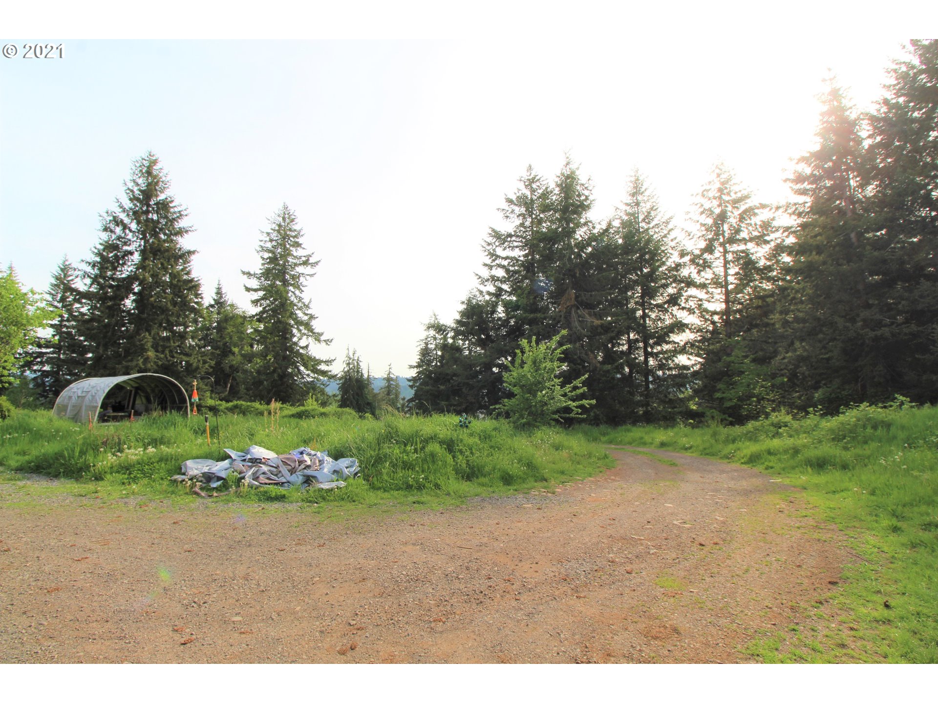 30364 Southeast Cemetery Road Estacada, OR 97023 - Photo 7 of 10 Gallery Image 7