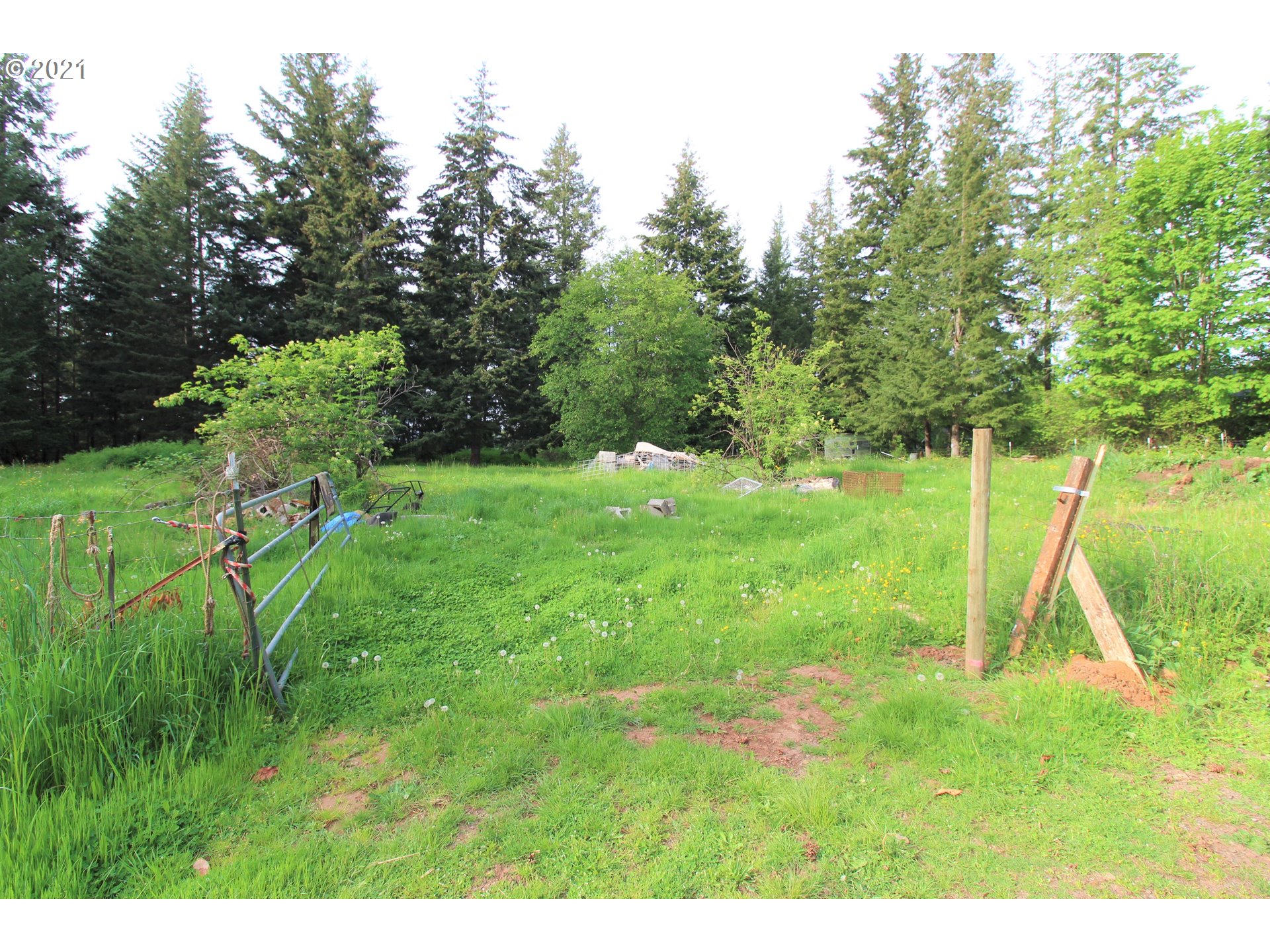 30364 Southeast Cemetery Road Estacada, OR 97023 - Photo 8 of 10 Gallery Image 8