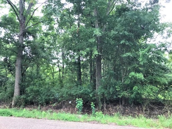 0 Enon Road Webb, AL 36376 - Photo 5 of 9
