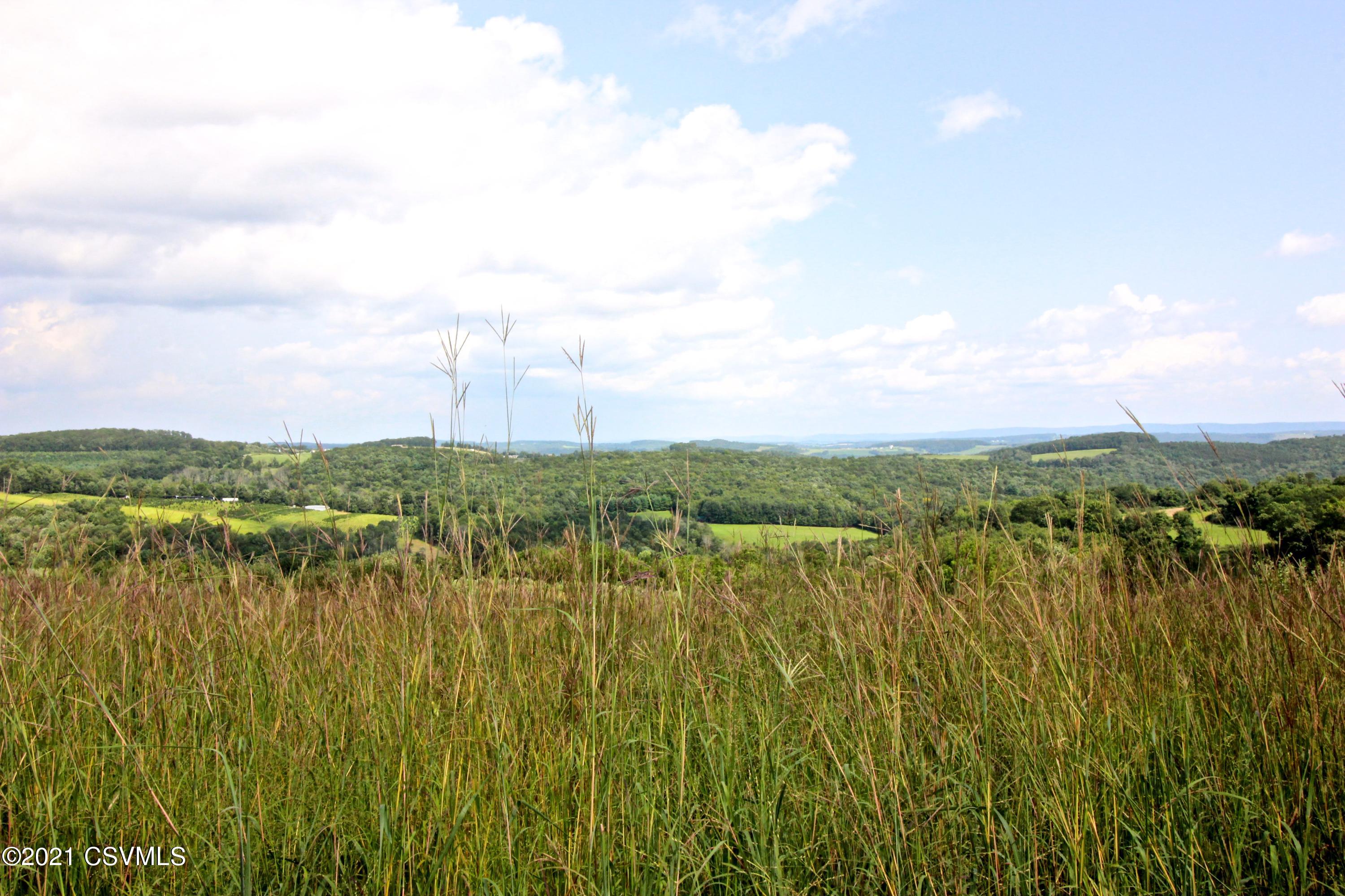 Piper Road Benton, PA 17814 - Photo 8 of 11