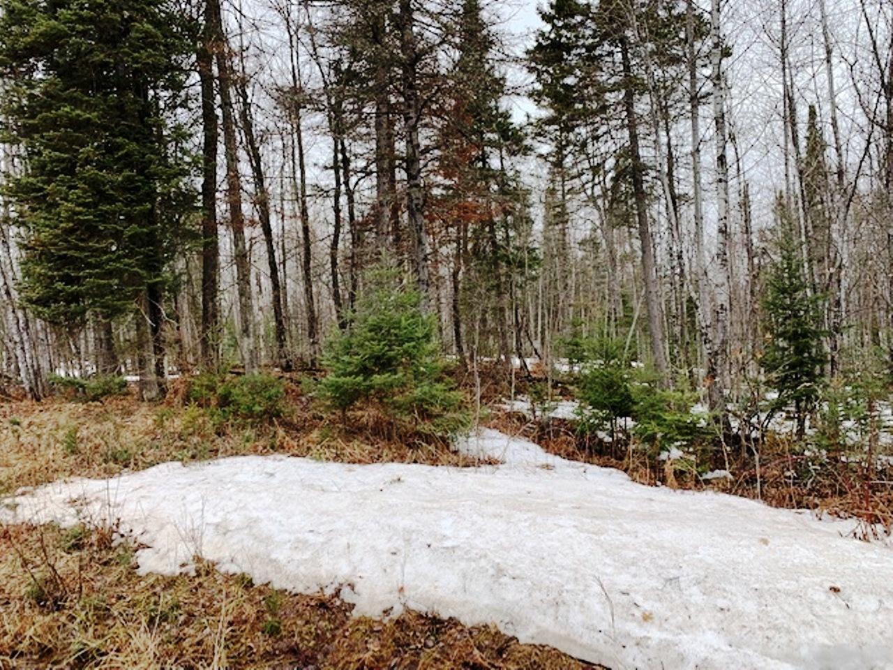 On Woods Road Felch, MI 49831 - Photo 1 of 12 Gallery Image 1