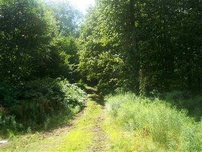 0 Walton Woods Road Walton, NY 13856 - Photo 1 of 1