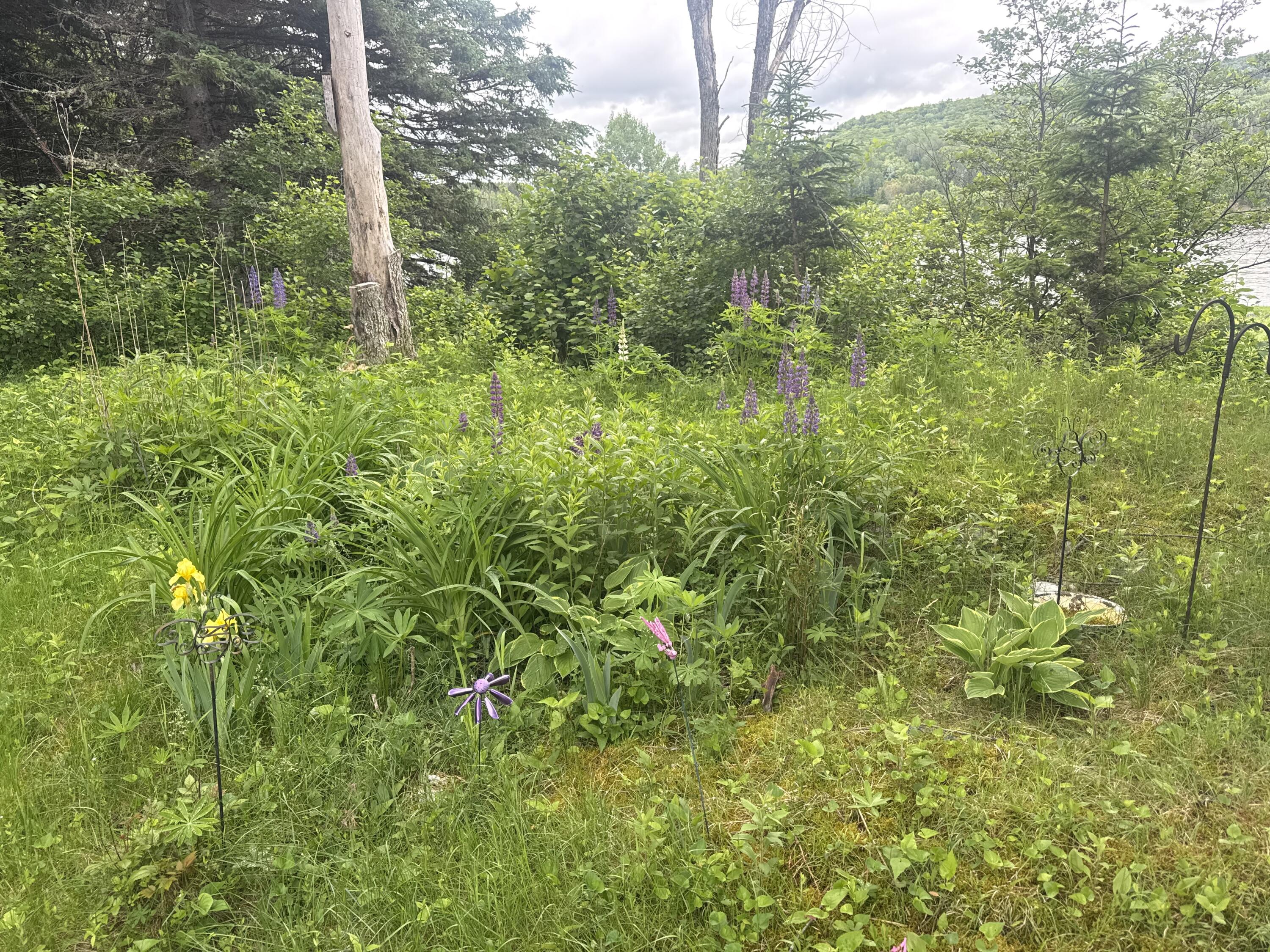 687 North Perley Brook Road Fort Kent, ME 04743 - Photo 2 of 5 IMG_1003
