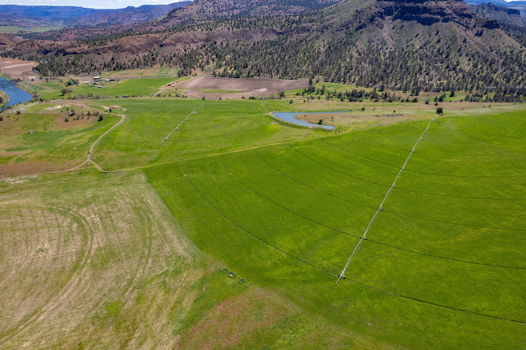 40252 Rudio Road Kimberly, OR 97848 - Photo 4 of 34 a view of a field with a tree