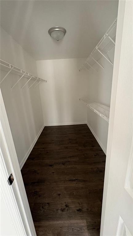 1289 Huntly Circle Thomson, GA 30824 - Photo 16 of 20 a view of an empty walk in closet