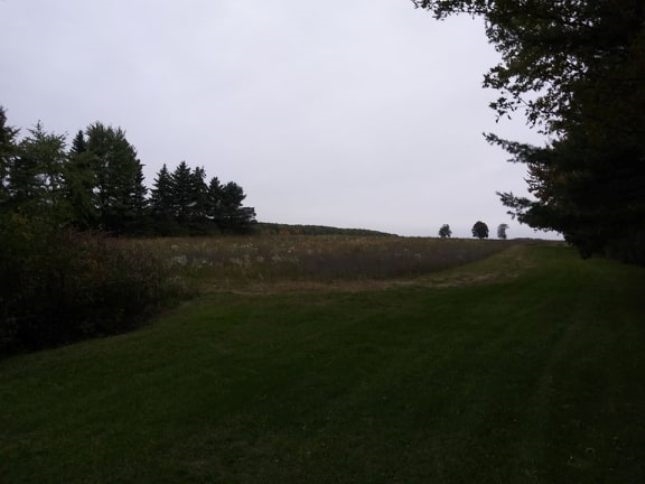 170 South Reed Road Corunna, MI 48817 - Photo 39 of 47 31397468-38.JPG