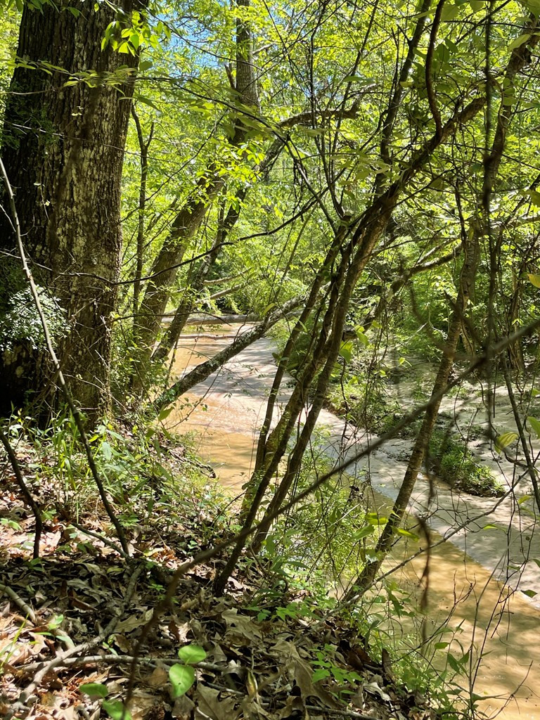 6 Gonzales Road Roxie, MS 39661 - Photo 25 of 40 Photo 25