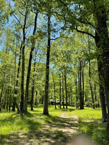 6 Gonzales Road Roxie, MS 39661 - Photo 29 of 40 Photo 29