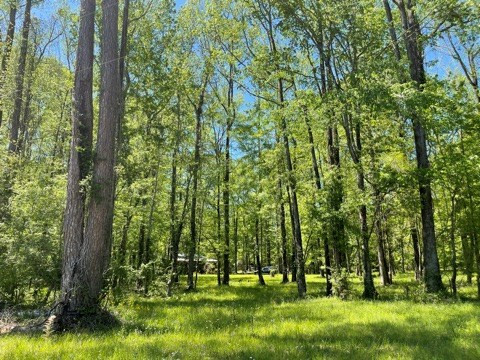 6 Gonzales Road Roxie, MS 39661 - Photo 30 of 40 Photo 30