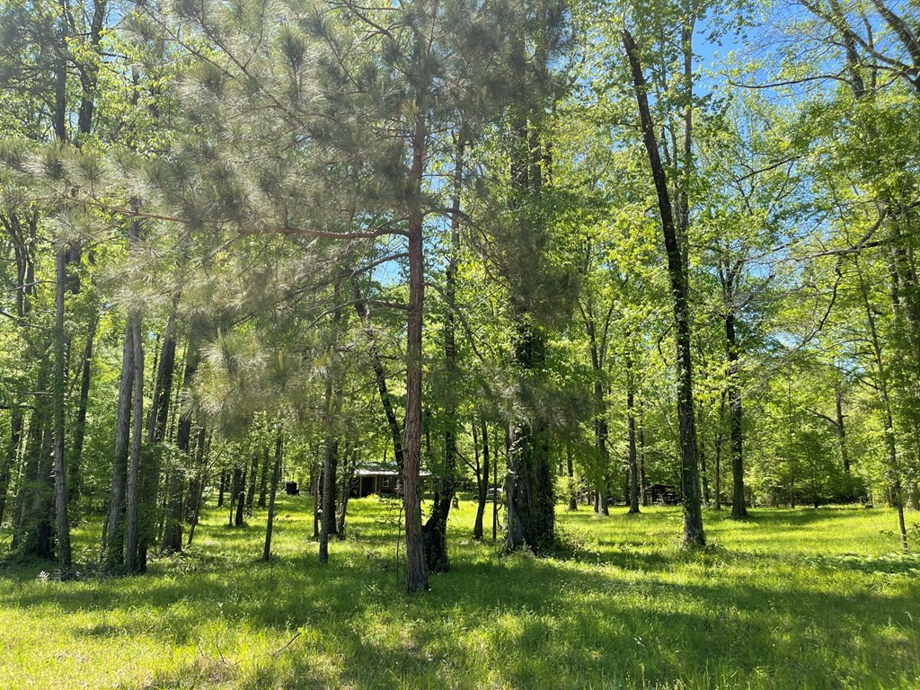 6 Gonzales Road Roxie, MS 39661 - Photo 32 of 40 Photo 32