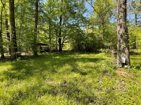 6 Gonzales Road Roxie, MS 39661 - Photo 34 of 40 Photo 34