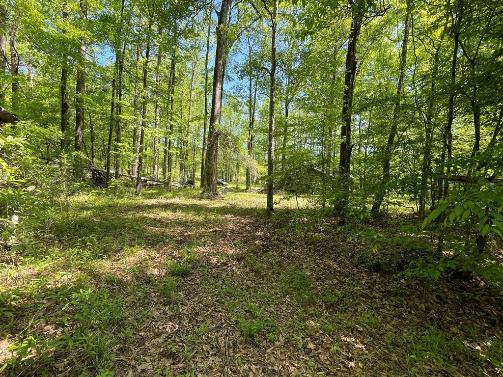 6 Gonzales Road Roxie, MS 39661 - Photo 36 of 40 Photo 36