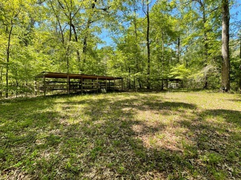 6 Gonzales Road Roxie, MS 39661 - Photo 39 of 40 Photo 39