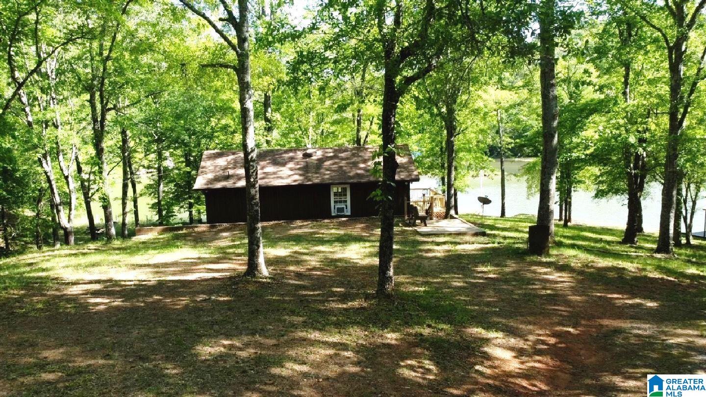 244 County Road 2011 Delta, AL 36258 - Photo 10 of 29