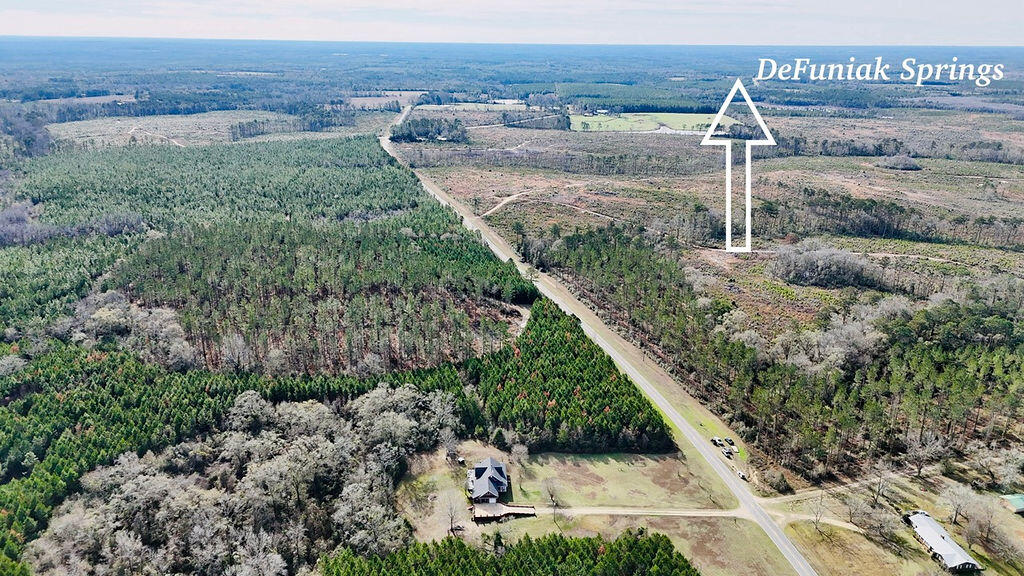 728 Otter Pond Road Westville, FL 32464 - Photo 36 of 39 a view of a yard along with trees