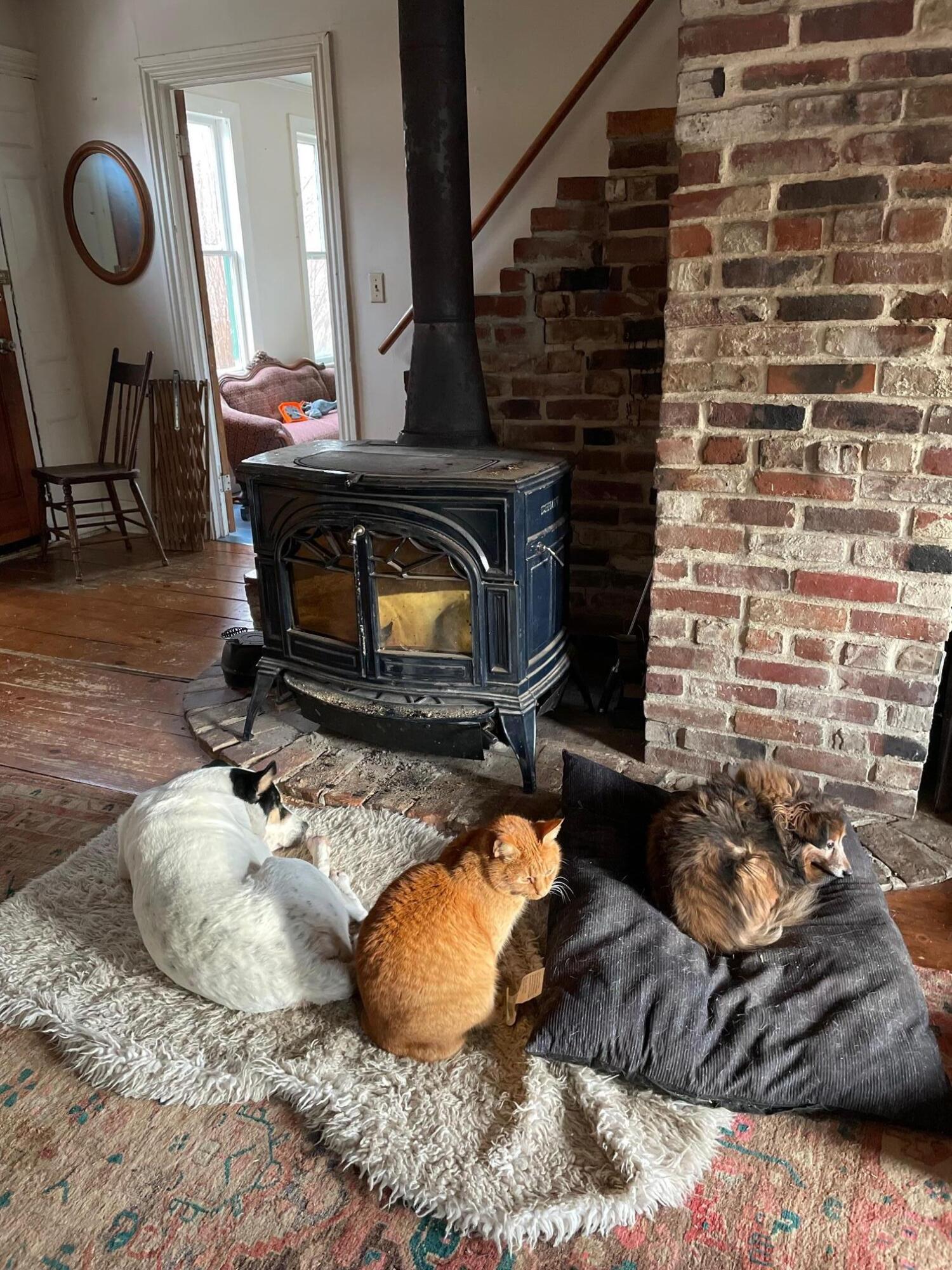 314 Davis Road Union, ME 04862 - Photo 15 of 31 DogsCatFire