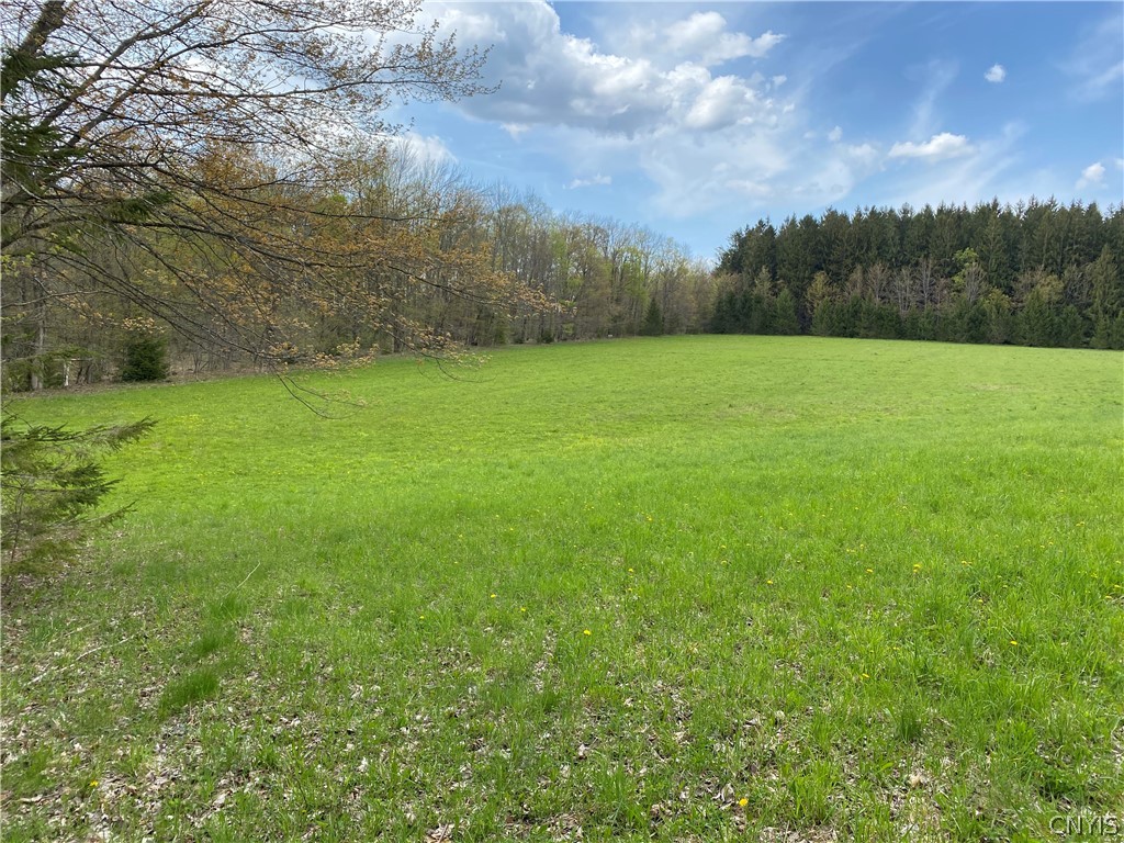 - Murray Road North Pitcher, NY 13124 - Photo 9 of 23 Gallery Image 9