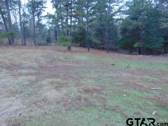 a view of a dry yard with wooden fence