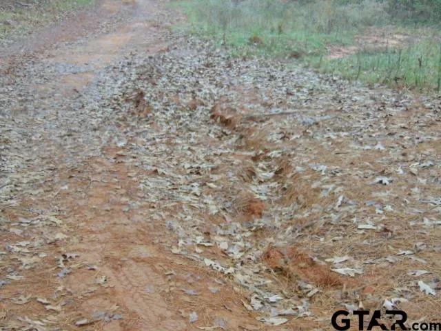 $220,000 | 5865 South F M 747 Street, Jacksonville, TX 75766