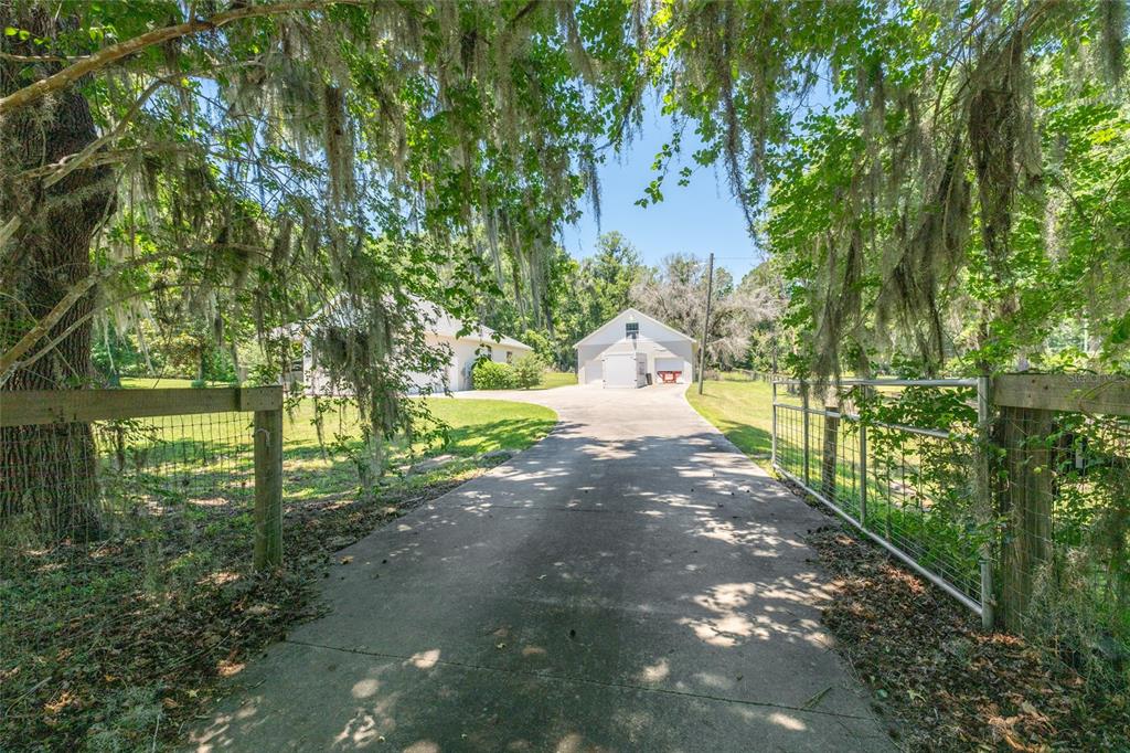 4735 Southeast 112th Street Road Belleview, FL 34420 - Photo 5 of 73 a view of a yard with large trees
