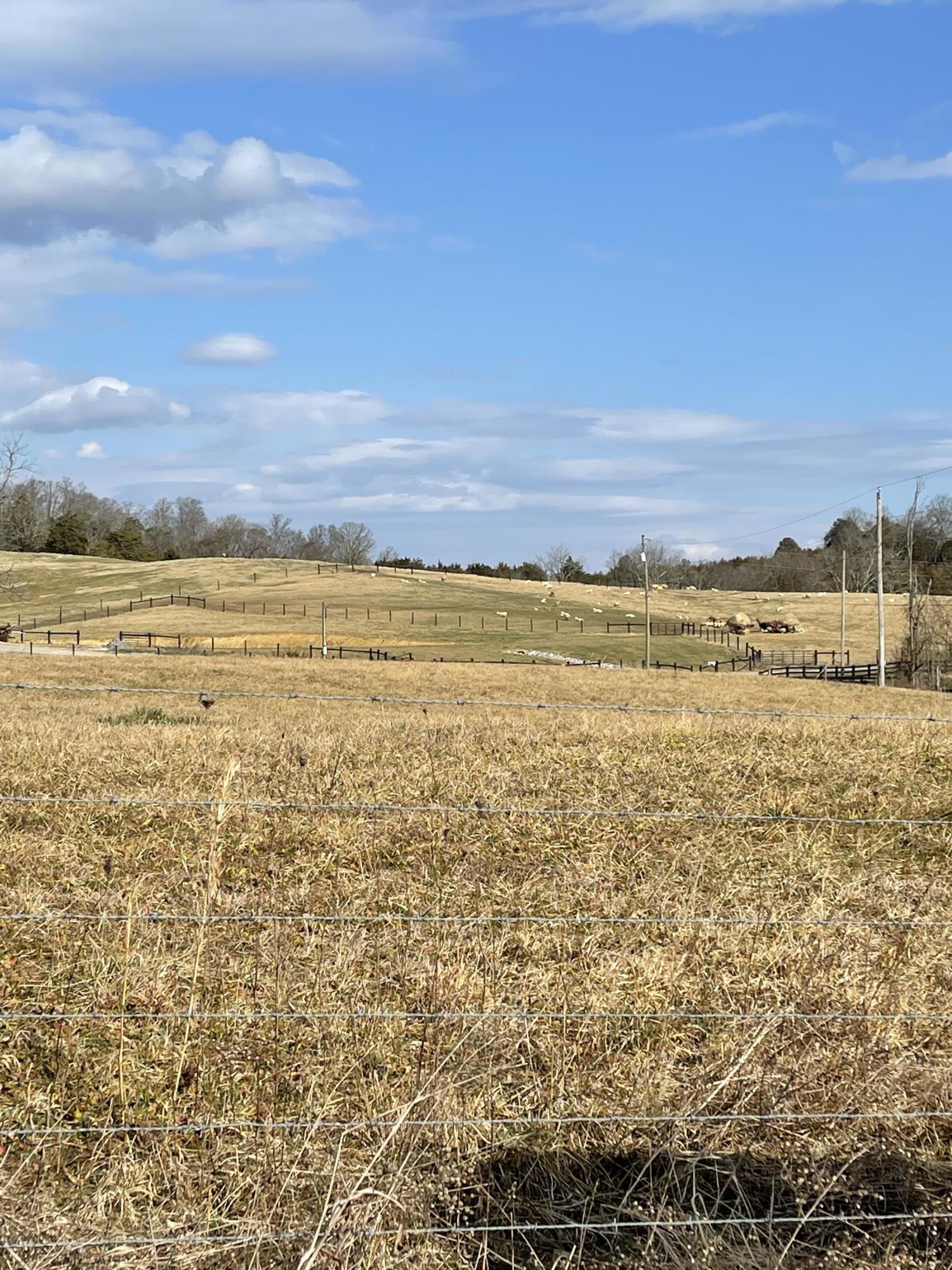 13-15 Westwood Road Mohawk, TN 37810 - Photo 3 of 3 IMG_0505