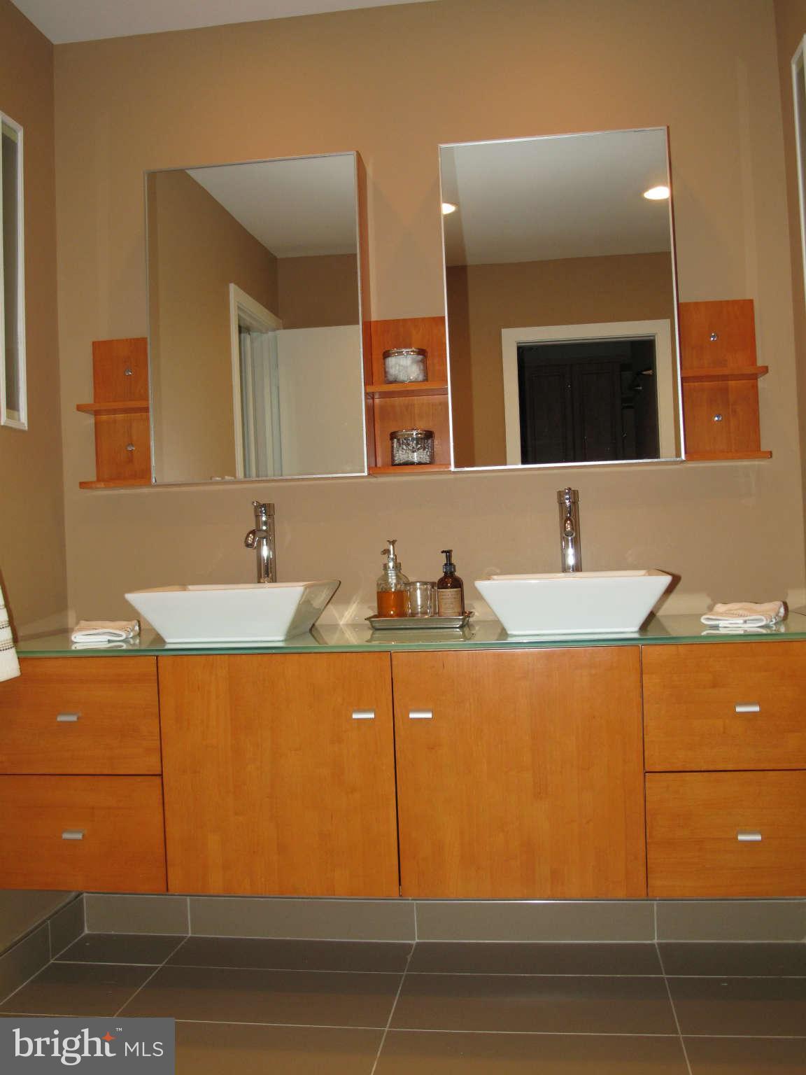 12009 North Walnut Branch Road Reston, VA 20194 - Photo 14 of 28 Bath (Master)