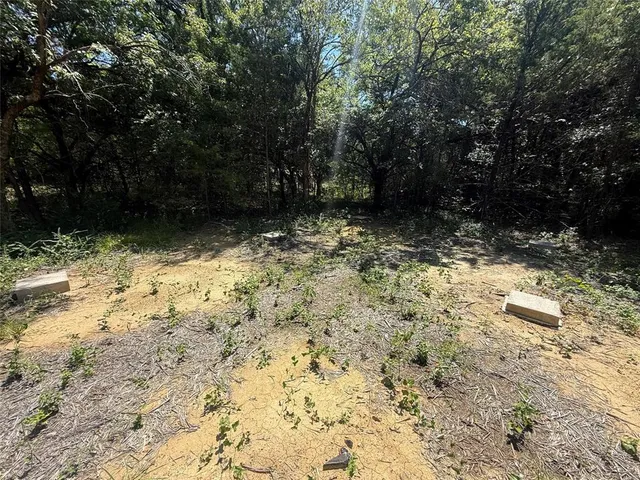a view of a yard with trees