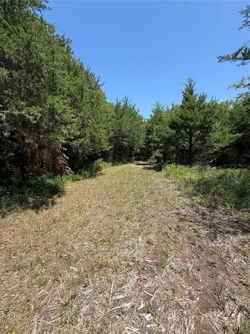 a view of a yard with trees in the background