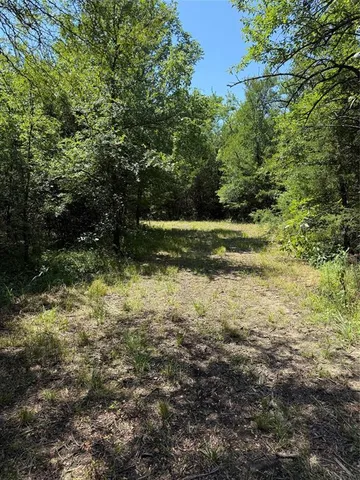 a view of a green yard