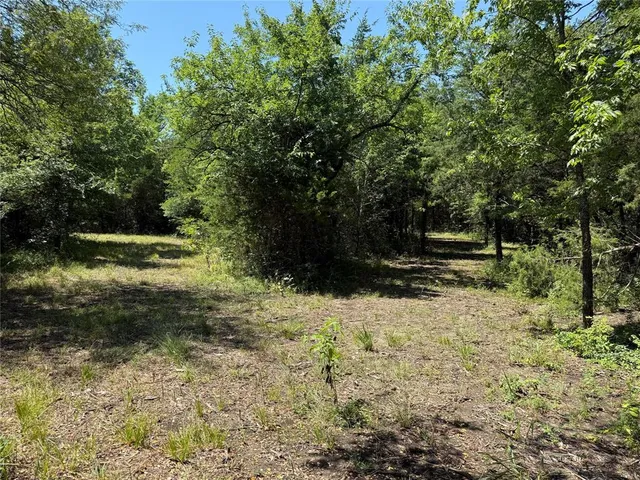 a view of backyard with green space