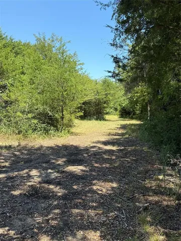 a view of yard with green space
