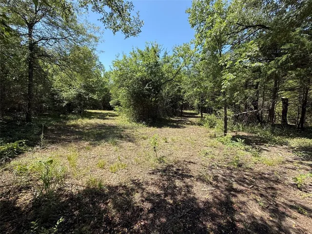 a view of backyard of the house