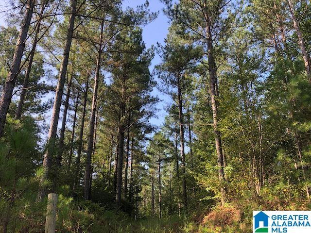 632 County Road, Unit 21 Roanoke, AL 36274 - Photo 1 of 7