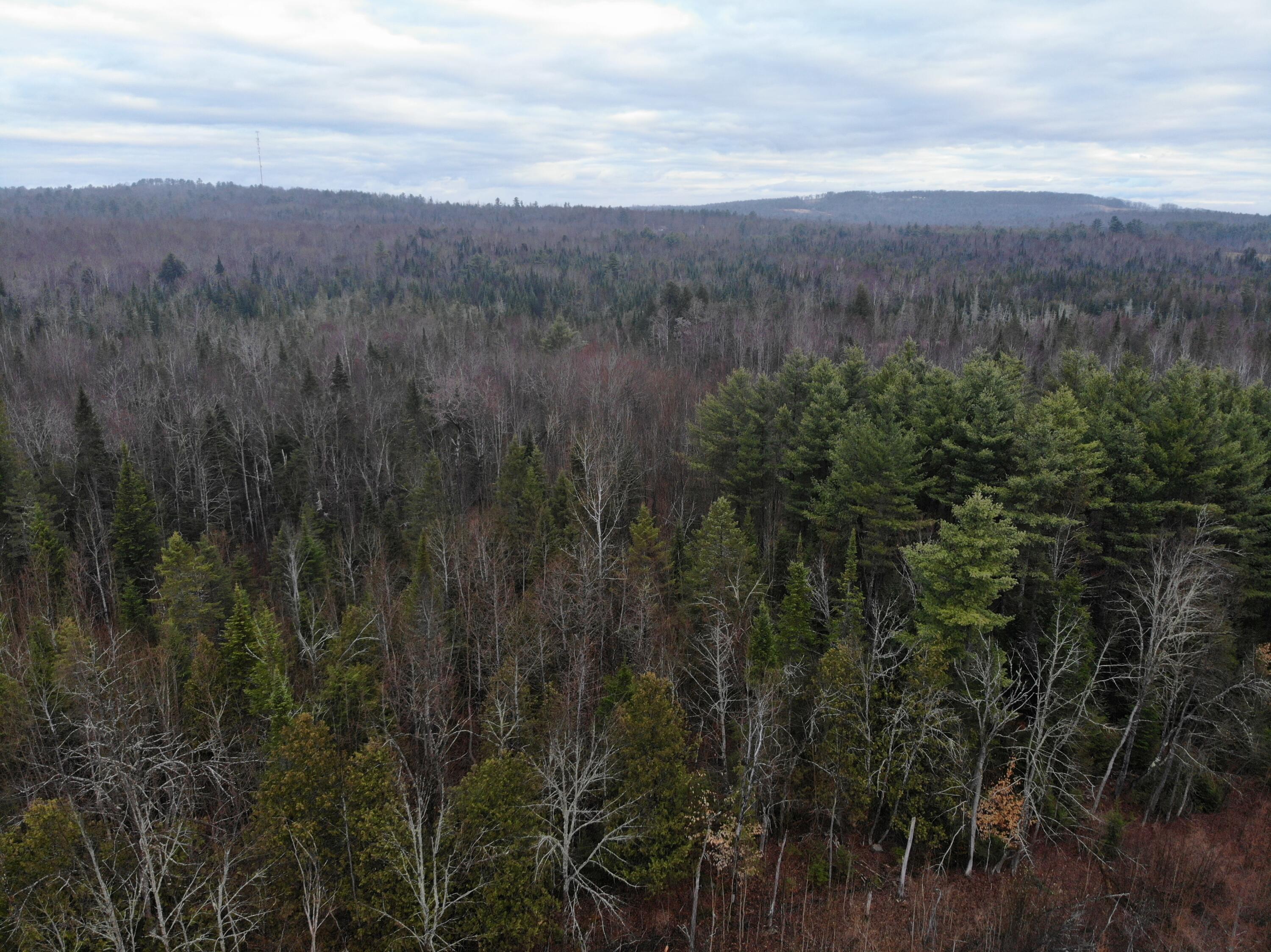 Map5-lot1 Silvers Mills Road Sangerville, ME 04479 - Photo 18 of 33