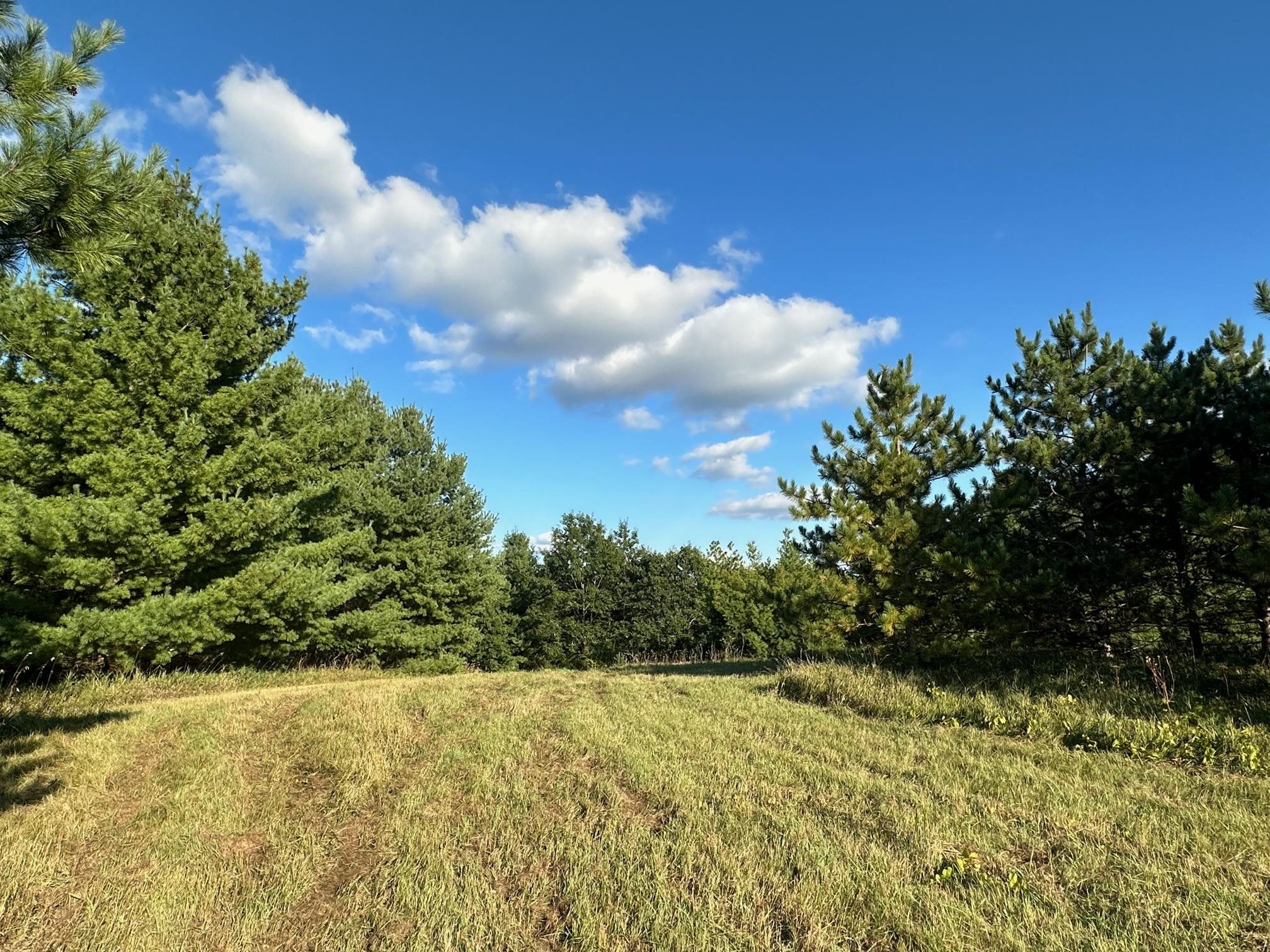 Lot 4 Davis Verona, WI 53593 - Photo 2 of 8