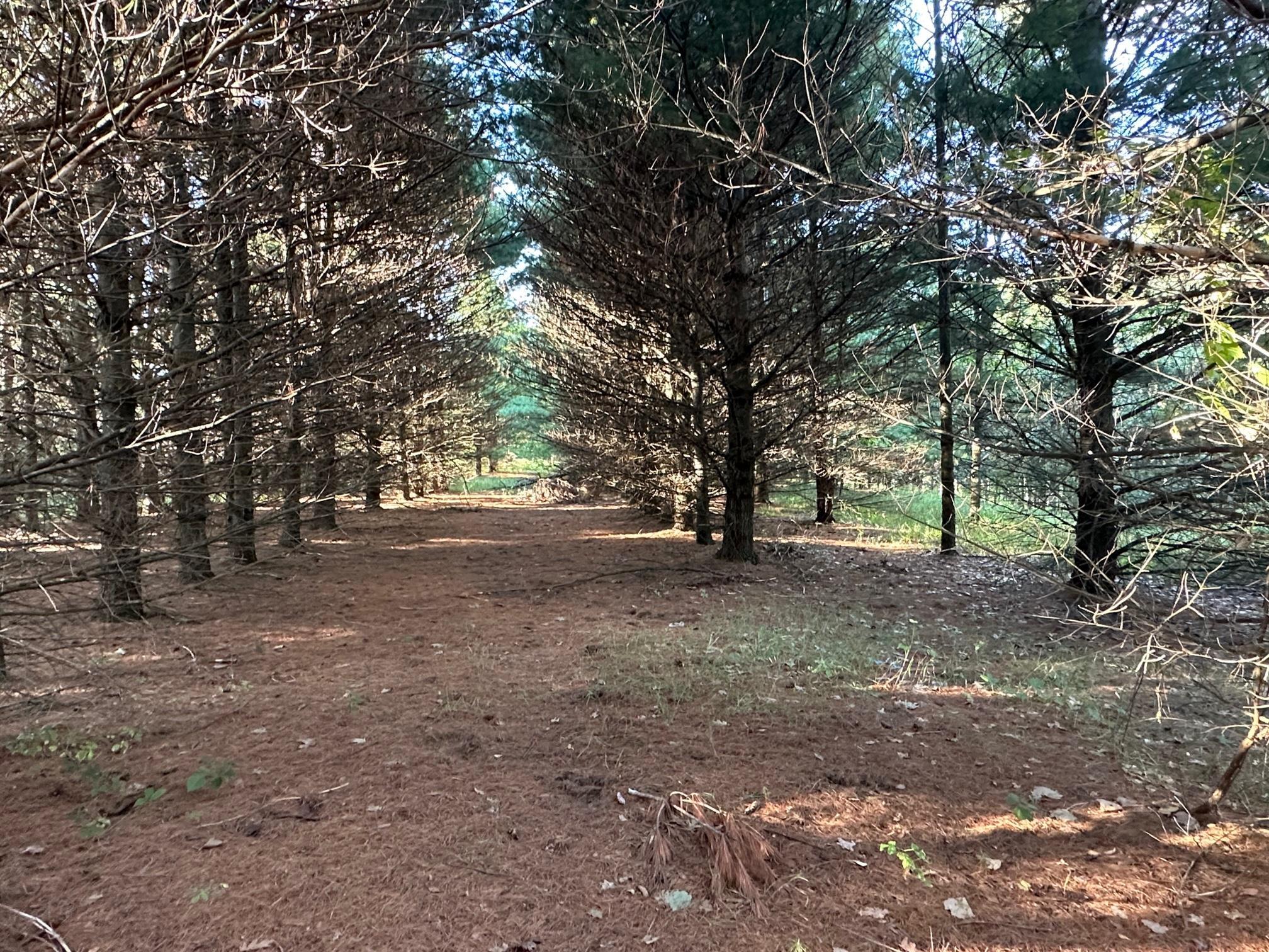 Lot 4 Davis Verona, WI 53593 - Photo 4 of 8