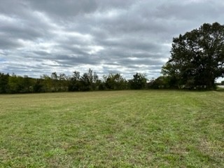 0 Erin Road McEwen, TN 37101 - Photo 10 of 14 Gallery Image 10