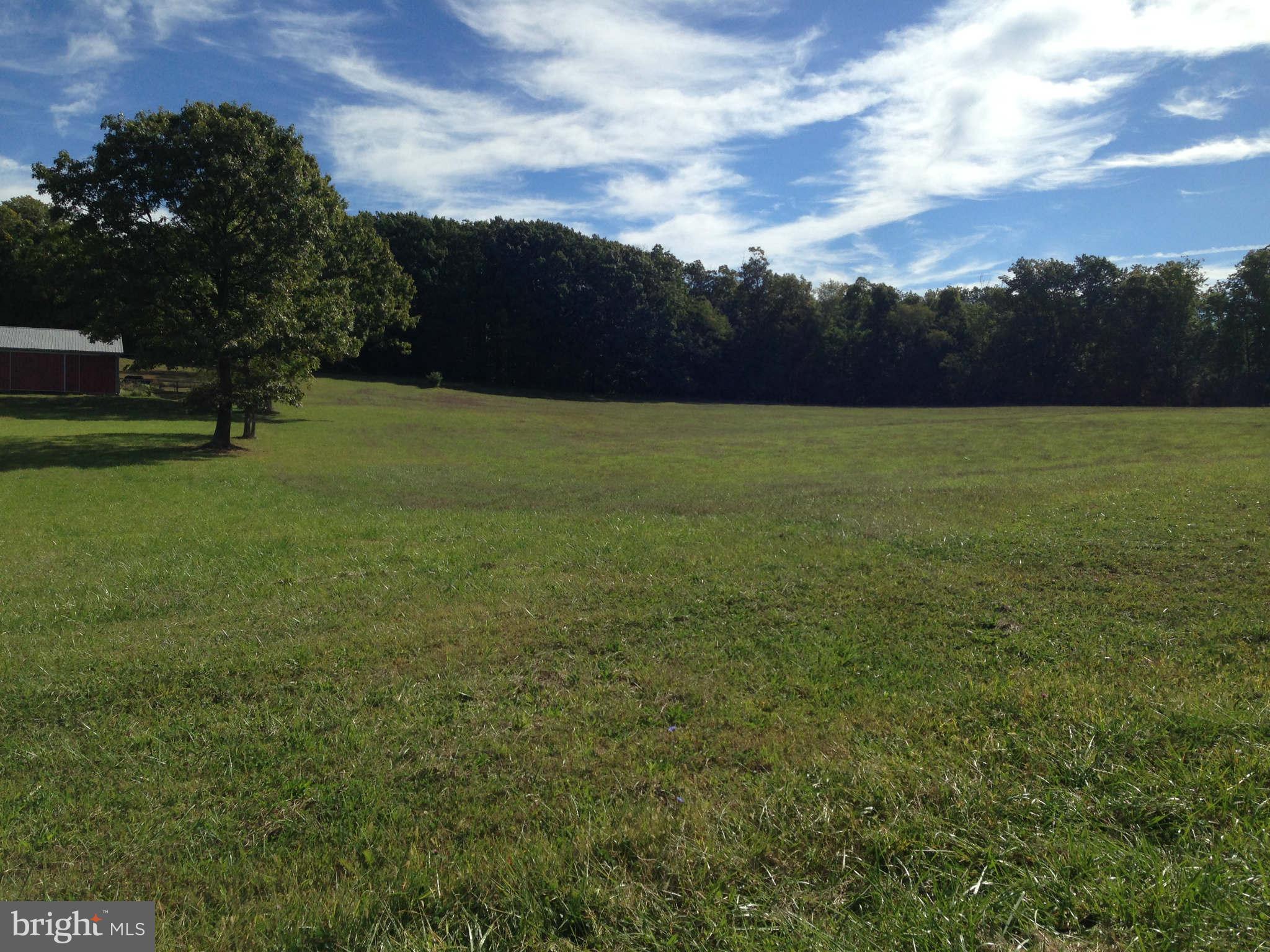 a view of outdoor space with green field and trees
