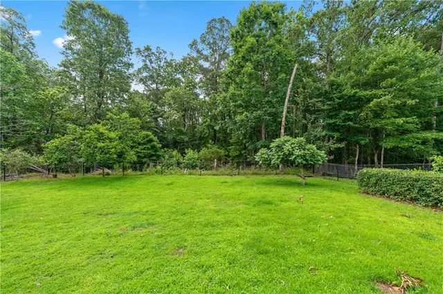 a view of a lush green space