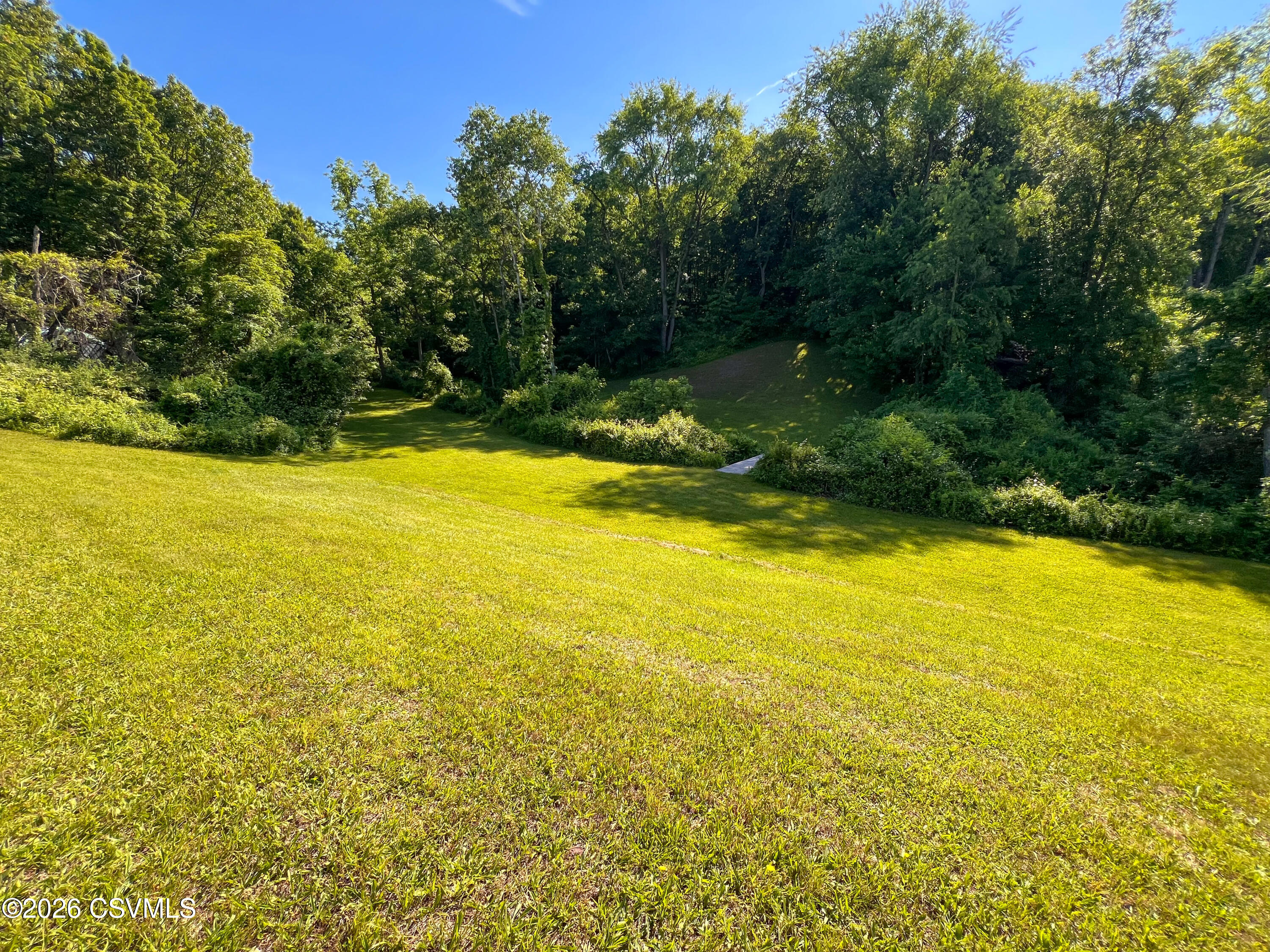 96 Grumpy Mountain Road Selinsgrove, PA 17870 - Photo 6 of 41