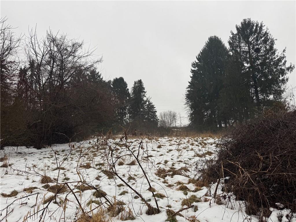 1114 Countyline Road New Castle, PA 16101 - Photo 2 of 3 a view of roof covered with snow in front of house