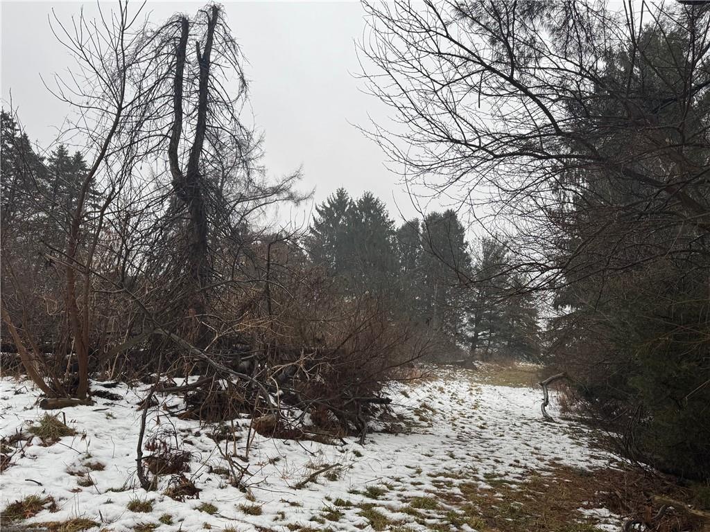 1114 Countyline Road New Castle, PA 16101 - Photo 3 of 3 a view of a yard covered in snow