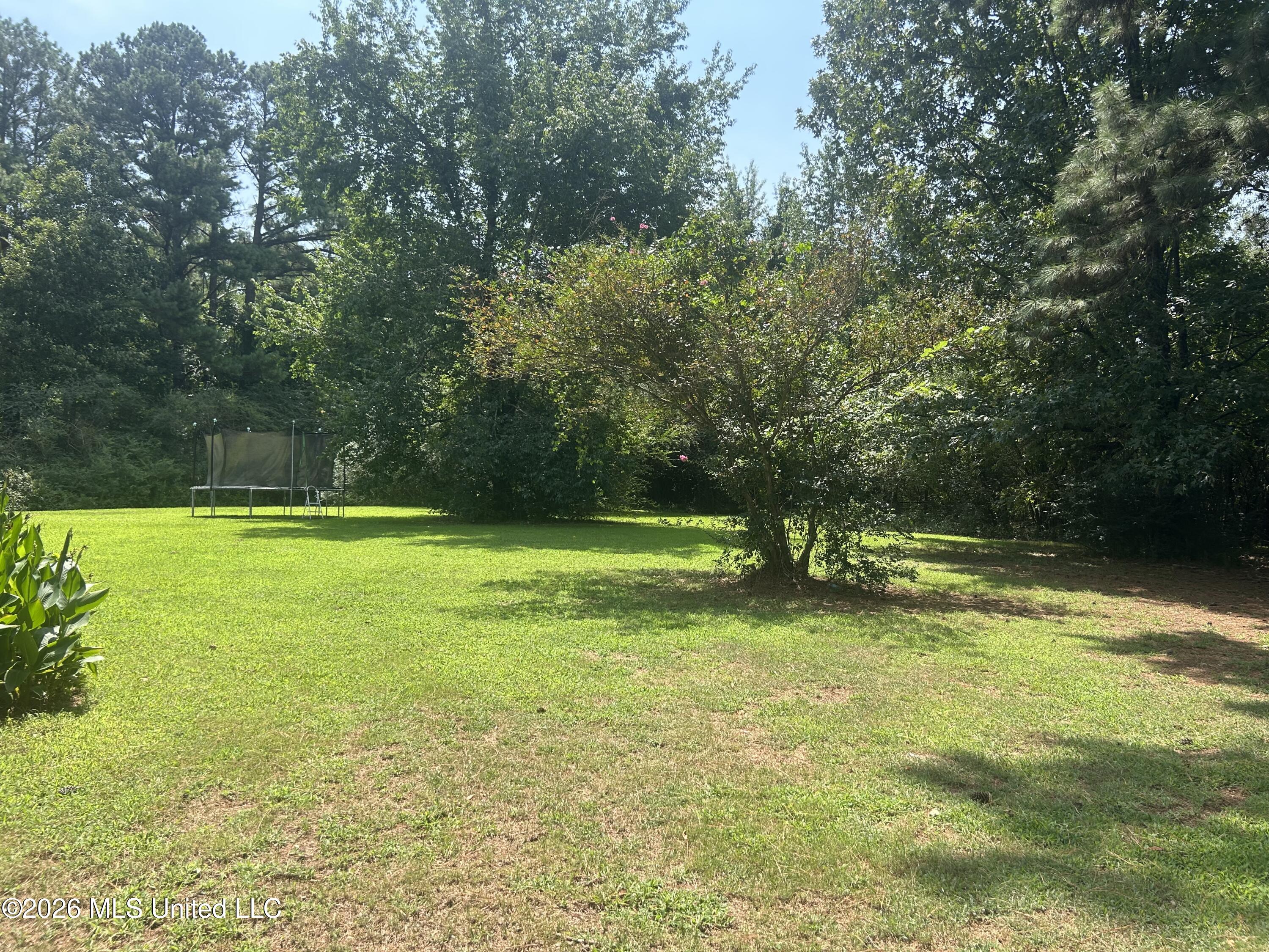 9135 East Broadway Road Olive Branch, MS 38654 - Photo 33 of 34 IMG_7729